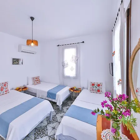 ホームステイ Dantel Pansiyon Kas