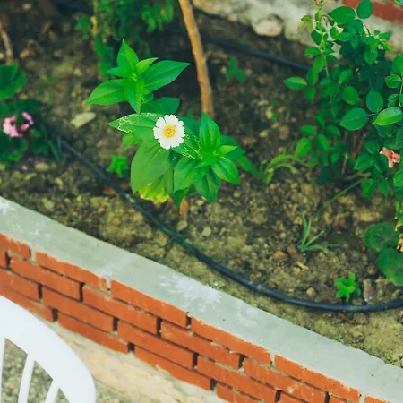 Dantel Pansiyon Kas ホームステイ *